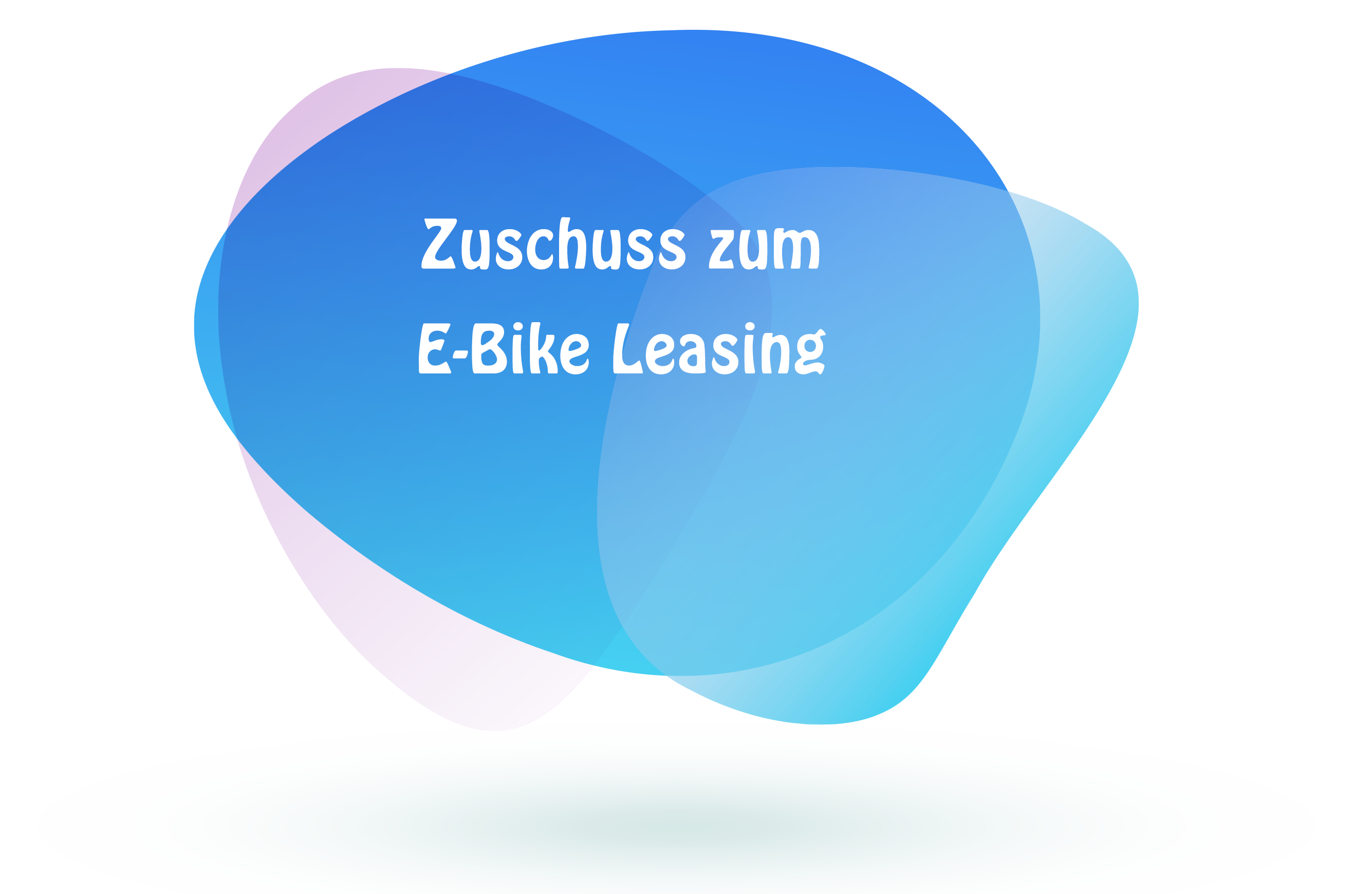 Employee benefit - Zuschuss E-Bike Leasing