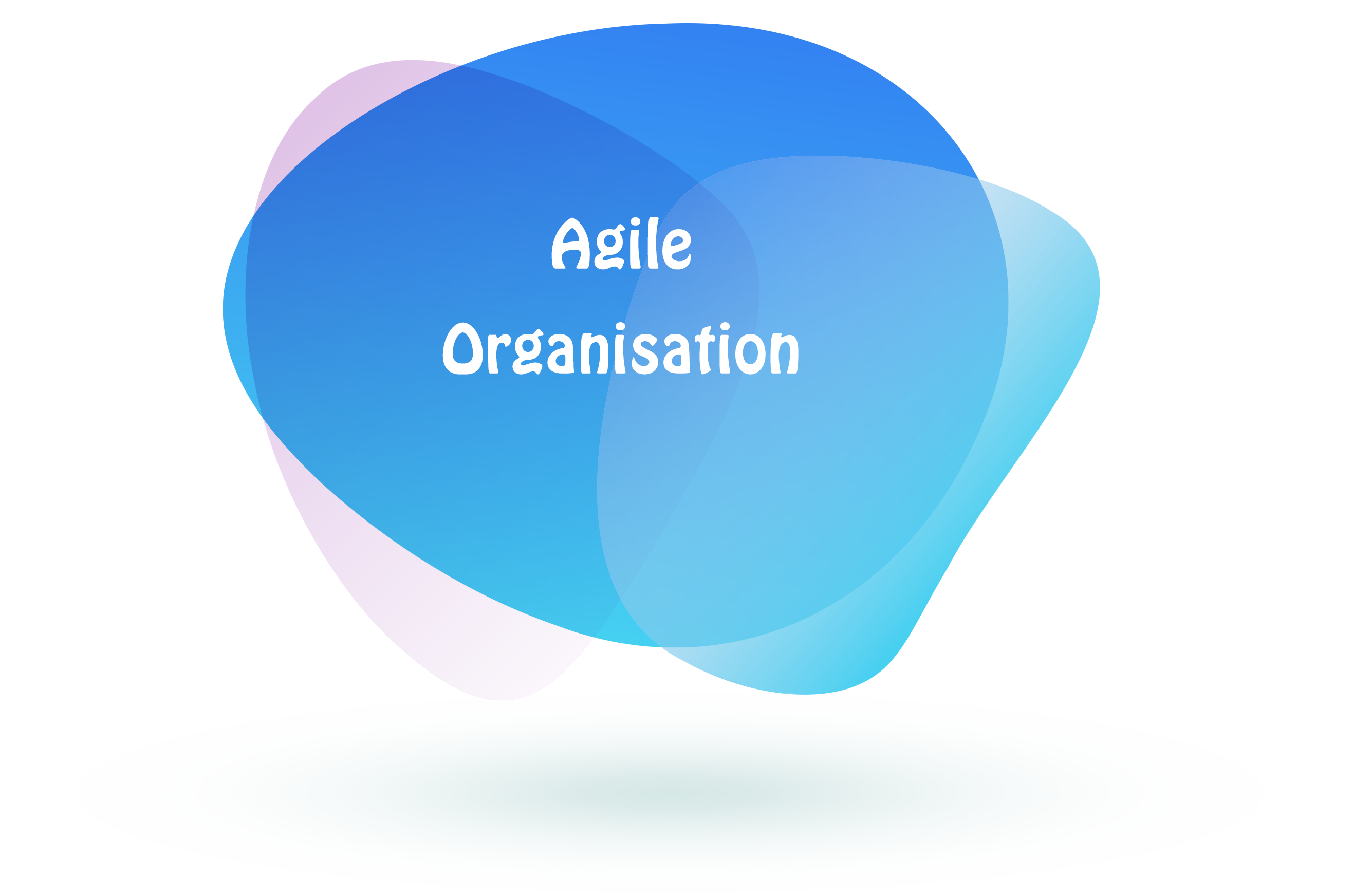 Employee benefit -agile Organisation