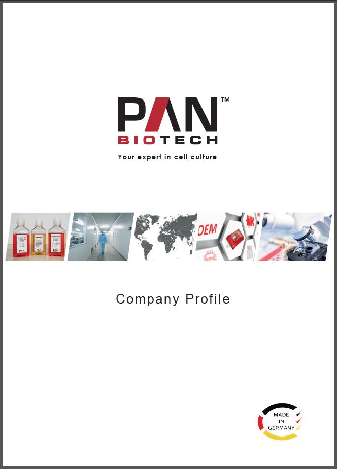 Company Profile, Firmenprofil