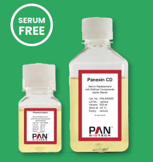 SERUM FREE SERUM FREE